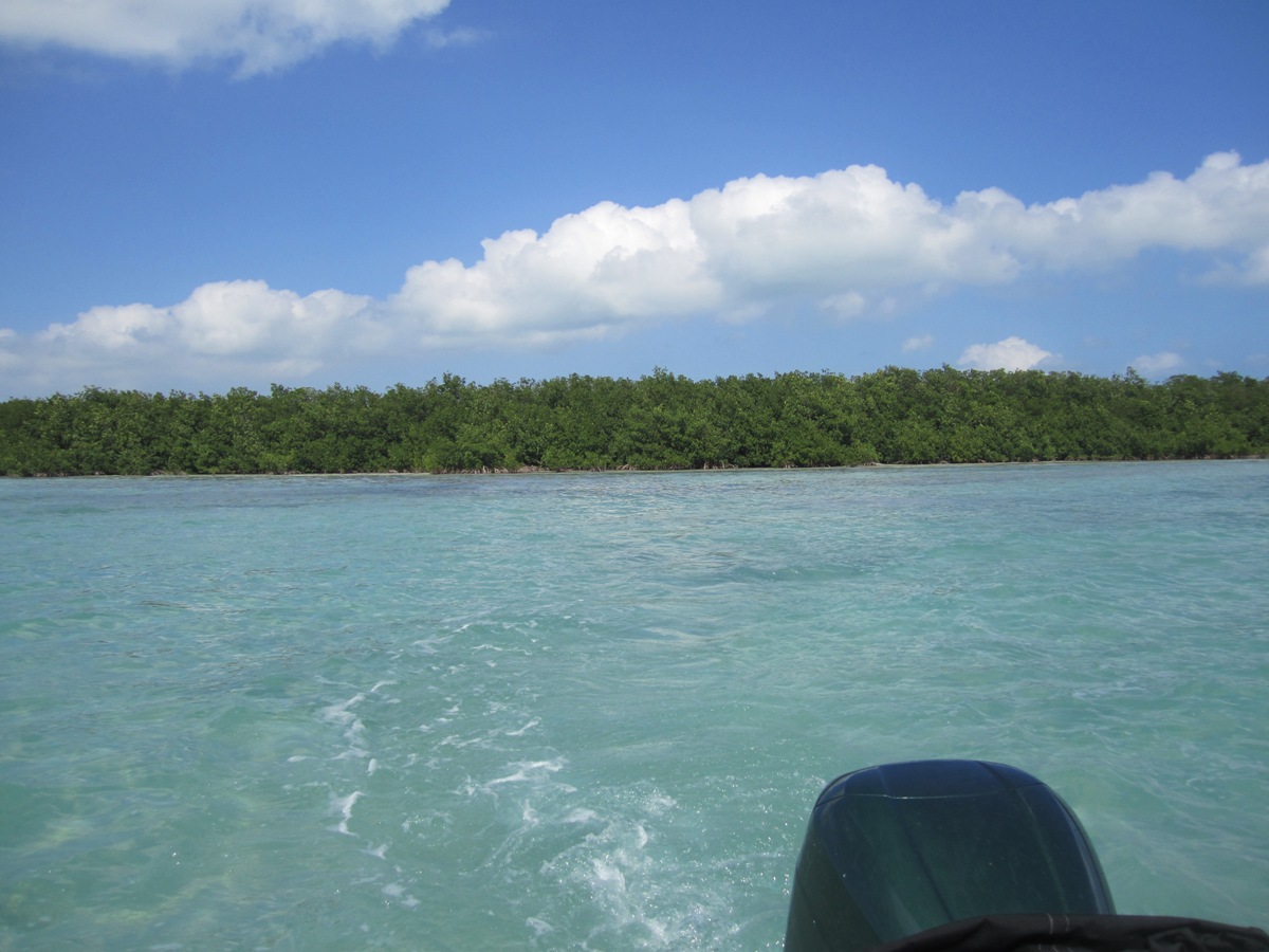 Land in Hick's Caye