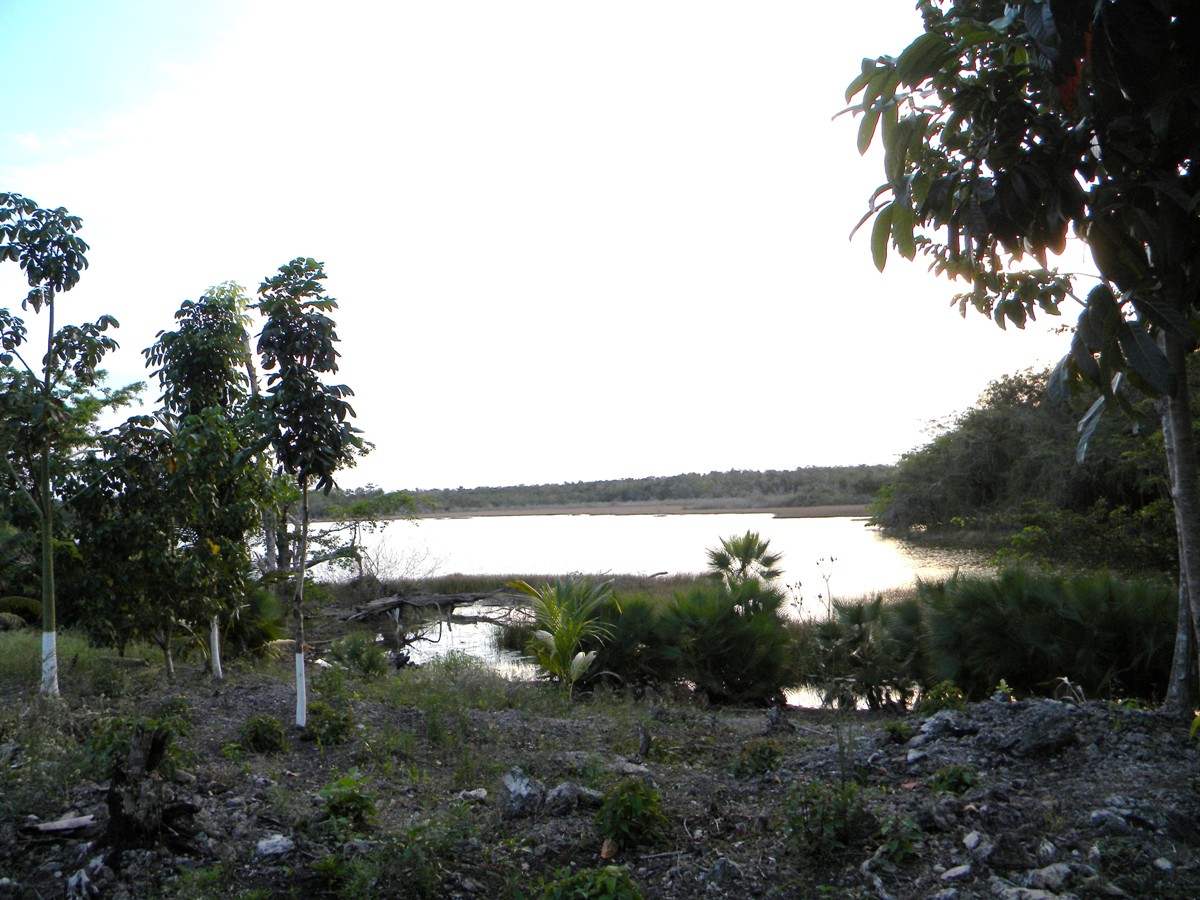 Lagoonfront Property in Progresso Heights