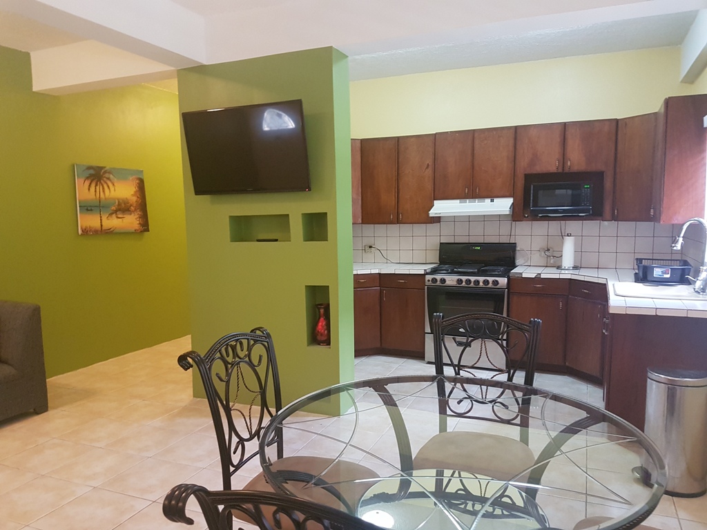 Furnished 1 Bed Apartment in Belize City for Rent