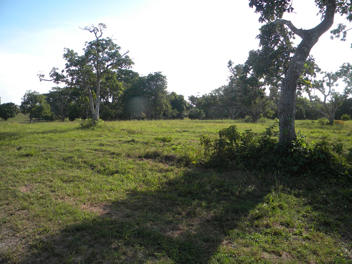 Residential Lot in Progresso Heights