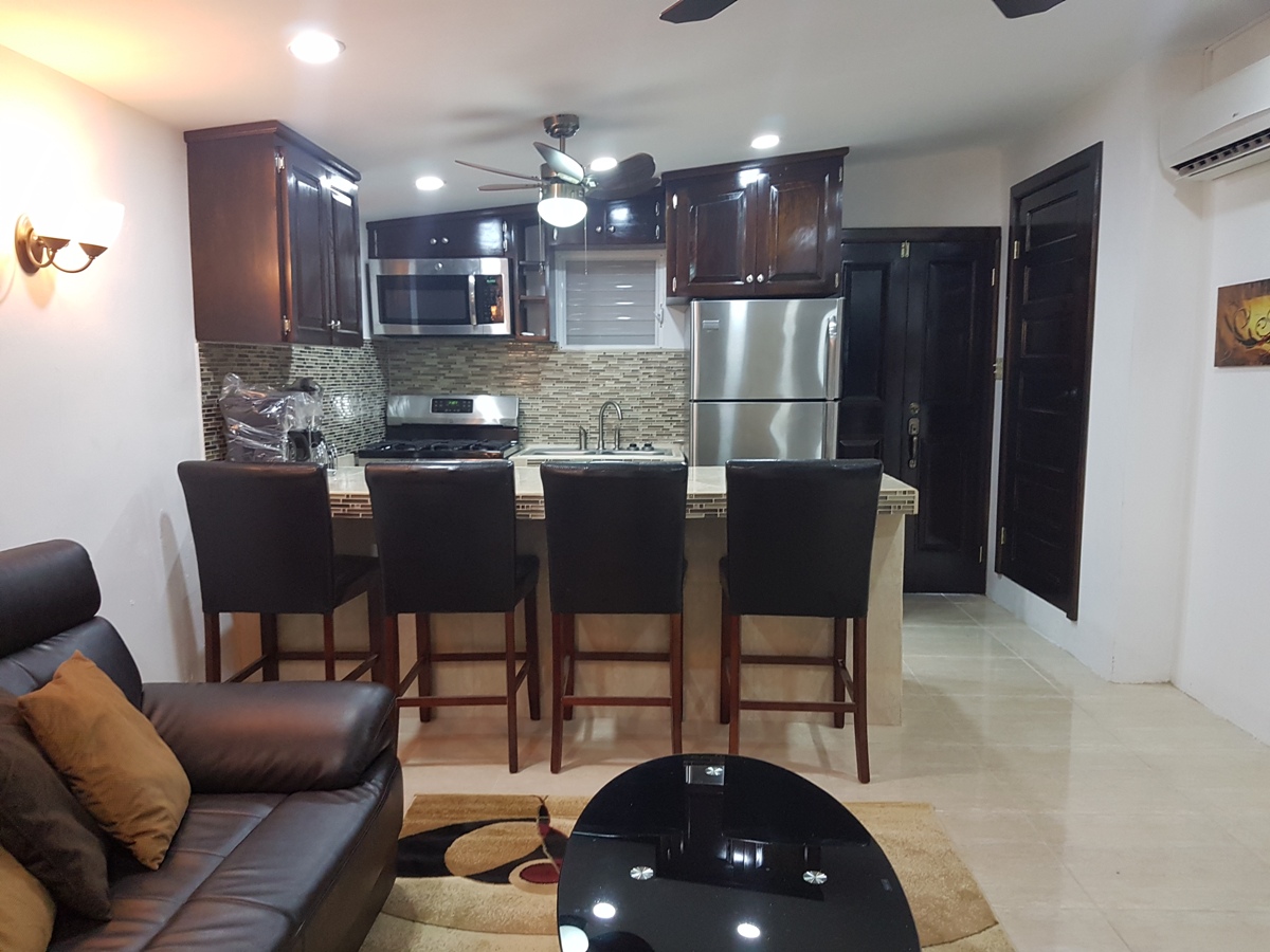 Furnished 1 Bed Apartment for Rent in Ladyville Belize