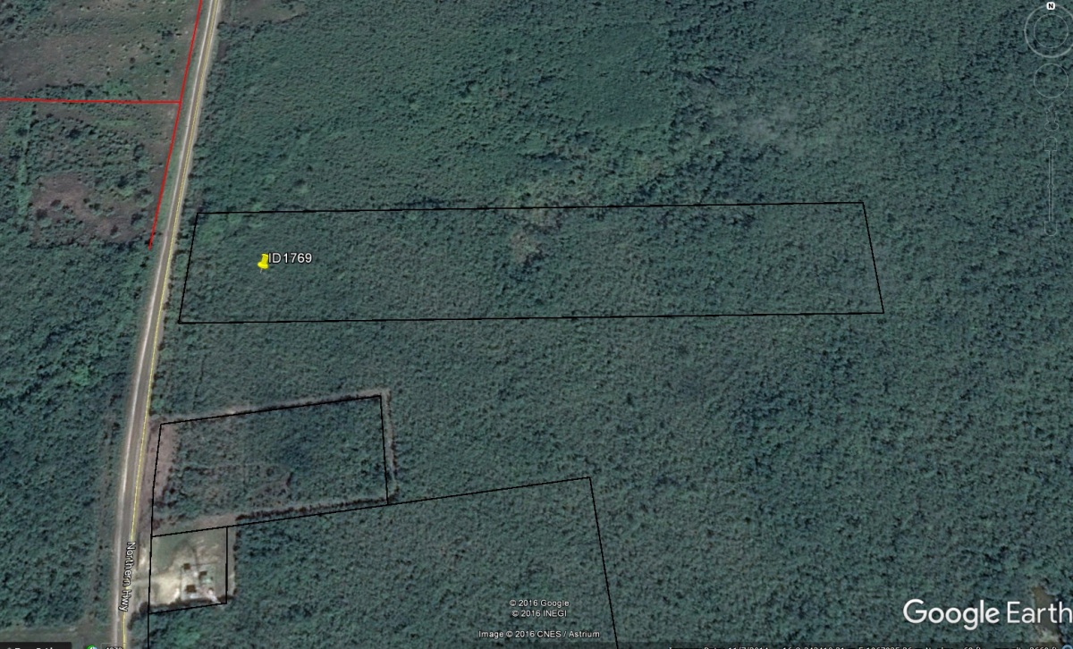 20 Acres at Mile 32.5 Philip Goldson Highway