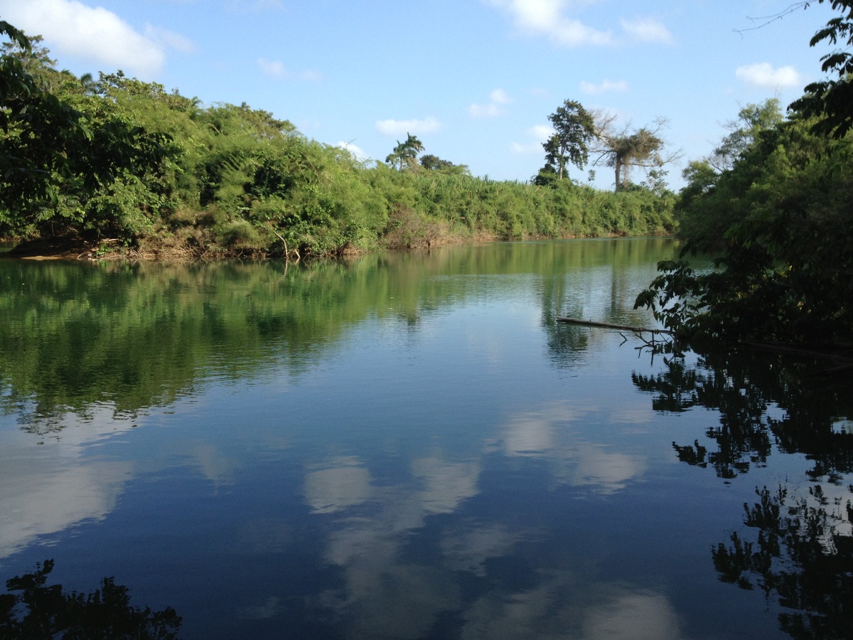 23 Acres on the Sibun River for Sale in Belize
