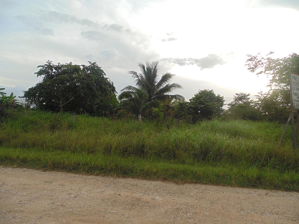 Lot with 1 Acre of Vacant Land
