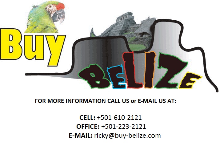Income Property in Belize City 
