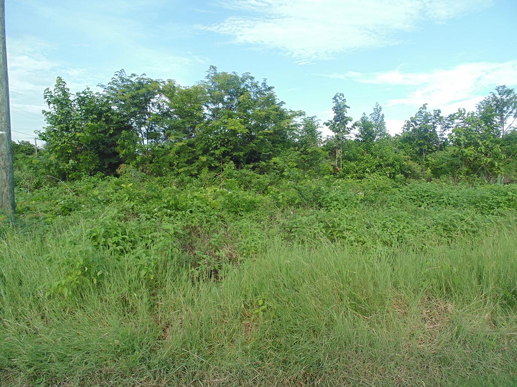 Large Residential Lot Located in Corozal