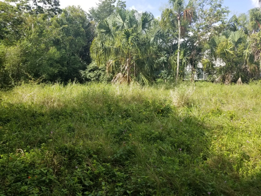 Land for Sale for Burrell Boom, Belize