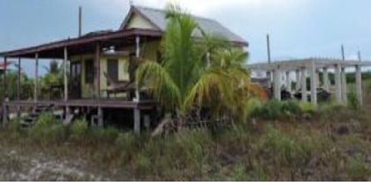 Lot with 2 Structures in Placencia