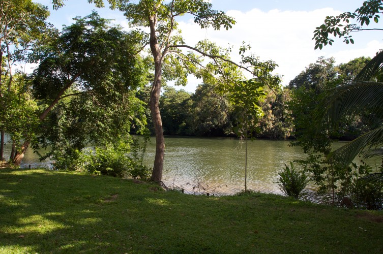 Riverfront Cabins for Sale on the Sittee River