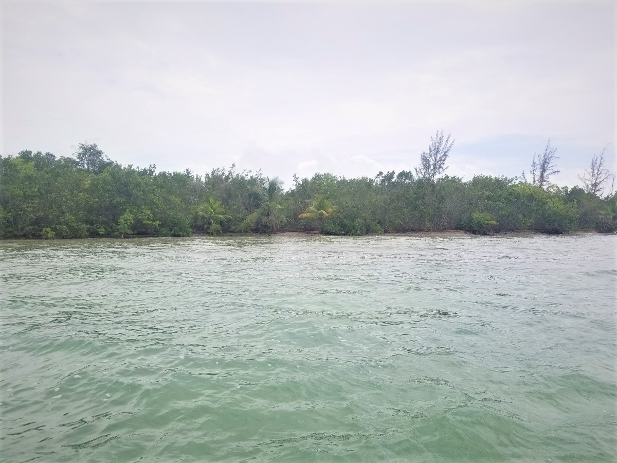1.5 acres bayfront lot in Warrie Bight