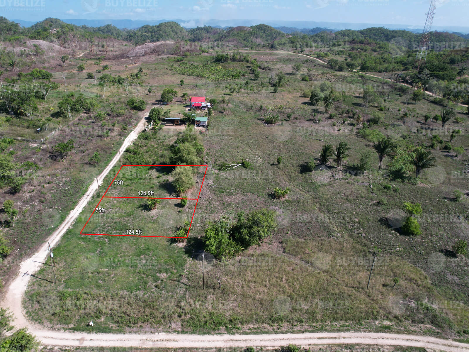 Two Large Residential Lots in Intelco Hill Area, Belmopan