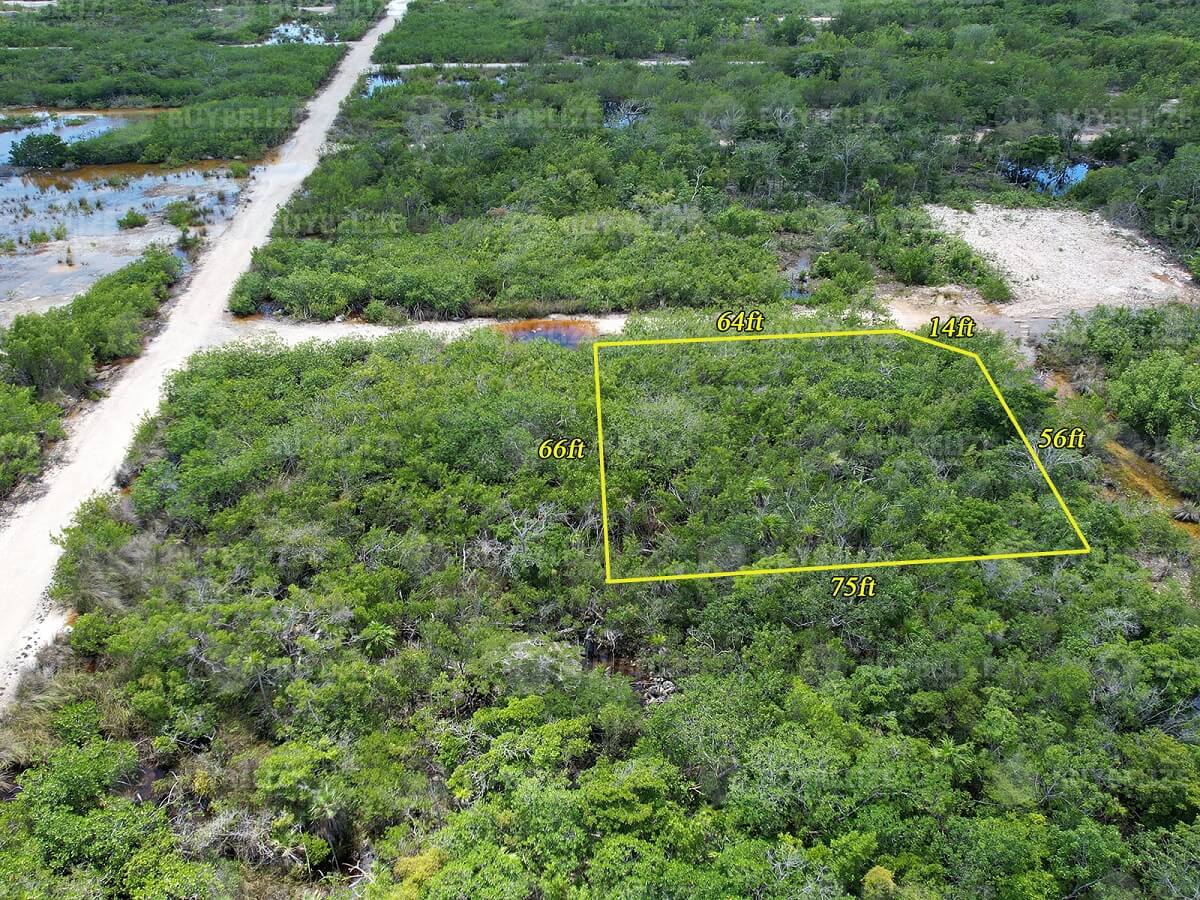 Grand Belizean Estate Corner Property For Sale, near Secret Beach, San Pedro Belize. C.A