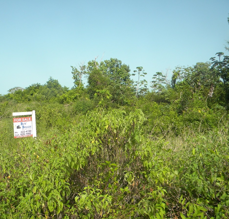 Residential Lot in Finca Solana Corozal 3 minutes from the sea