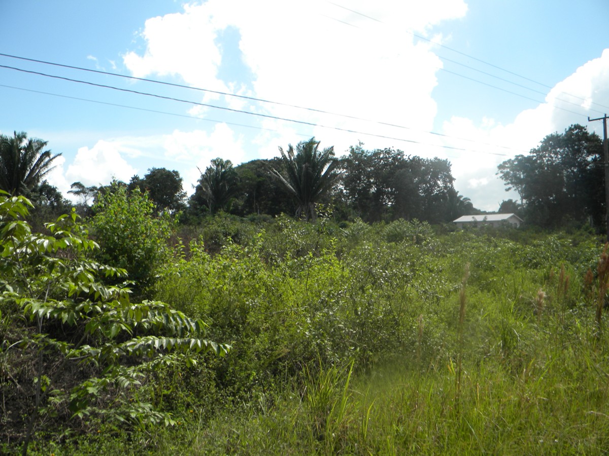 1 Acre Land in Belmopan