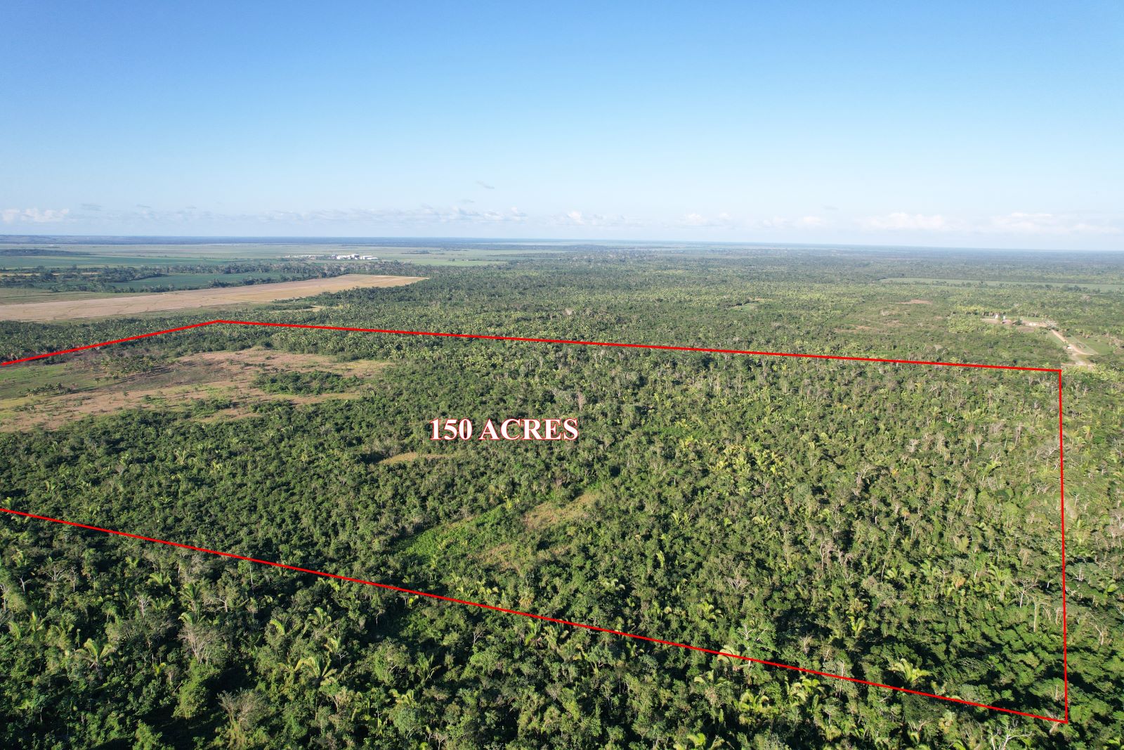 150 Acres of Prime Farmland on the Outskirts of Belmopan City