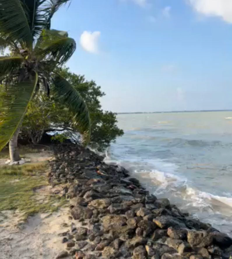 Large Seafront Lot for Sale in Corozal Town Areas