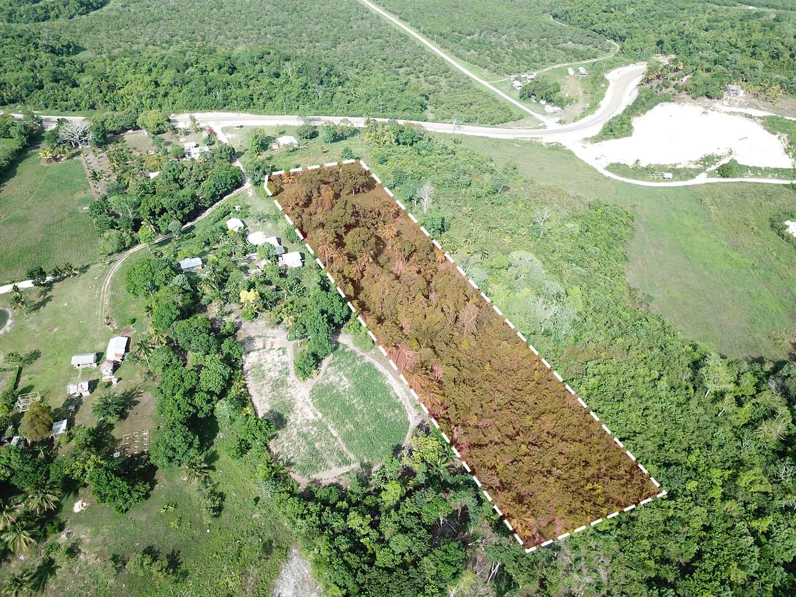 FOR-SALE: 8.2 Acre Farm Land in Georgeville, Cayo Belize.