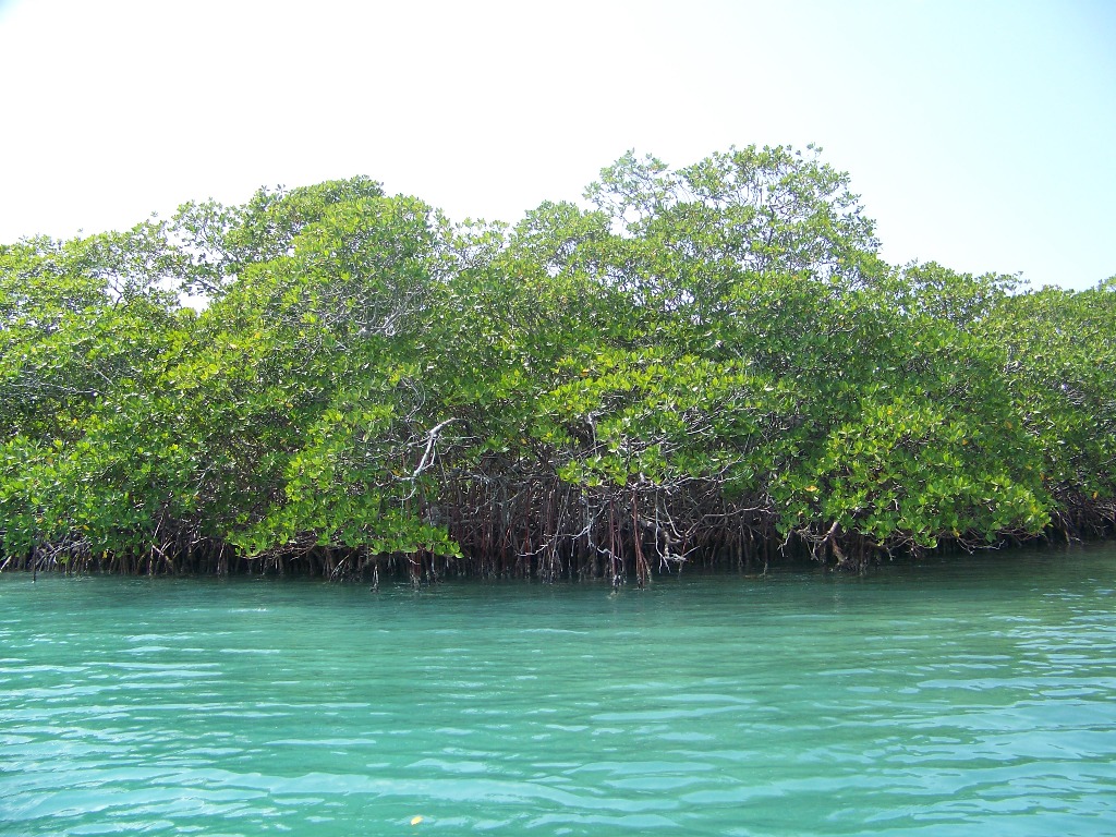 130 acres Island Near Belize City